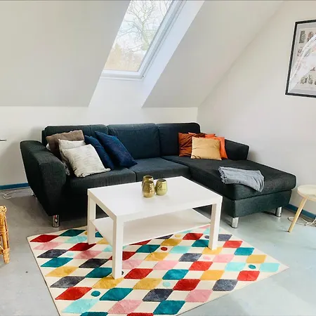 招待所 Kongshojgaard *